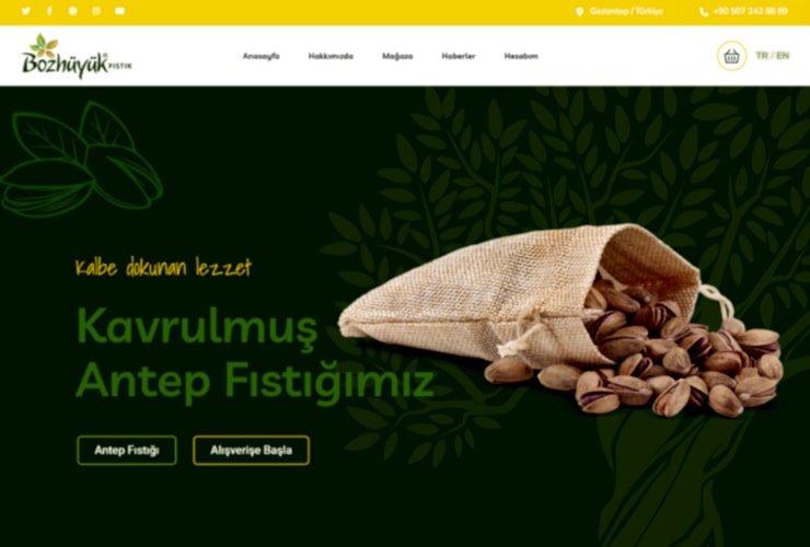Bozhüyük Pistachio Webpage Design