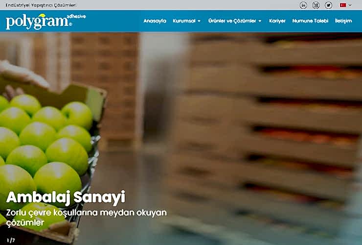 Polygram Web Design